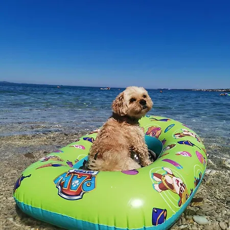 Lux Benak Апартаменты *